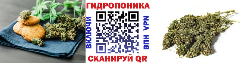 Cannafood конопля  Хадыженск 